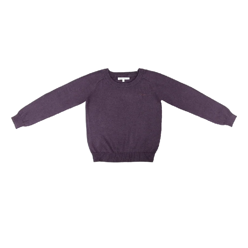 Little Parni Boys Knit Plum Sweater